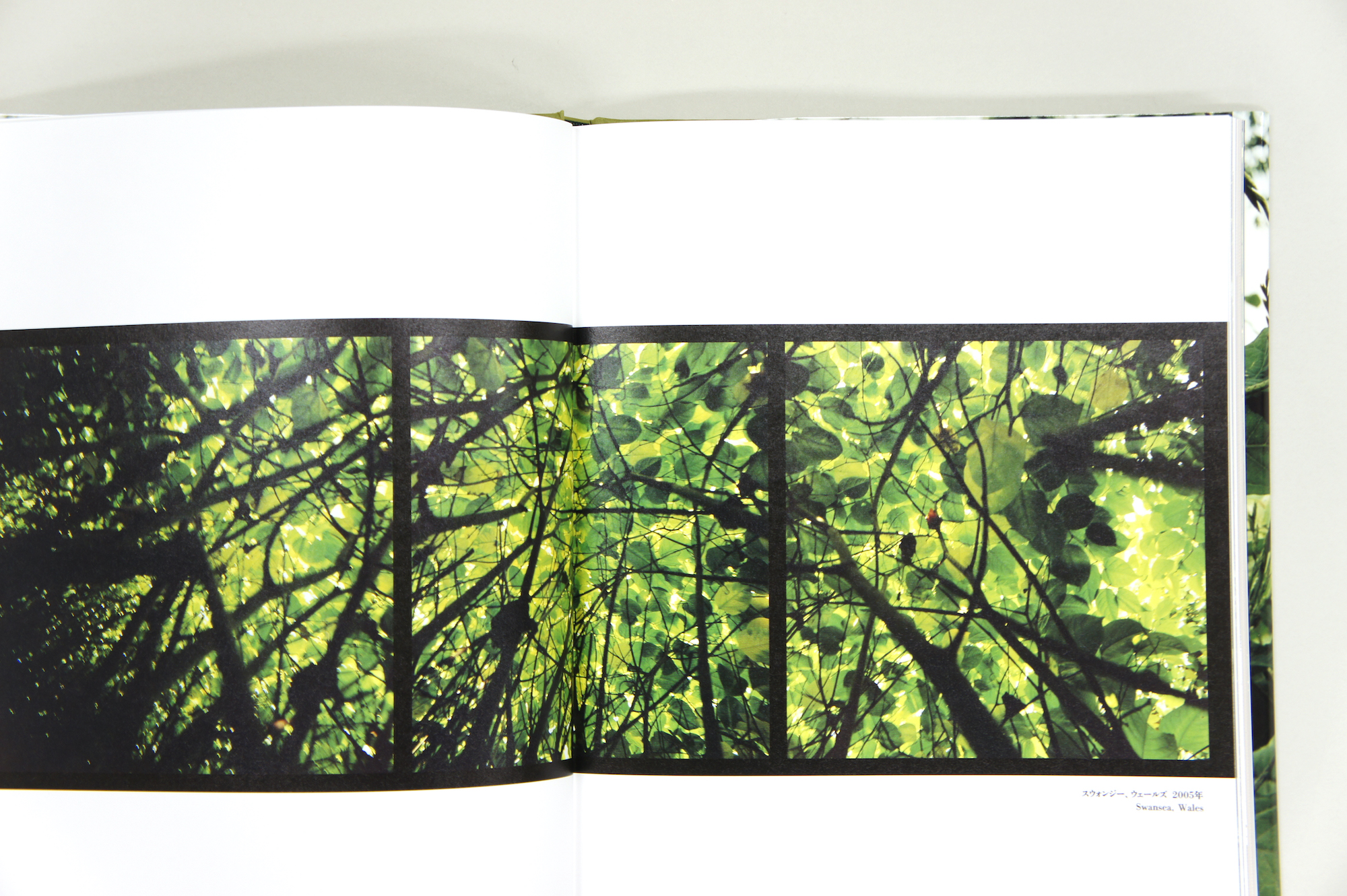 Moving Plants｜青幻舎 SEIGENSHA Art Publishing, Inc.