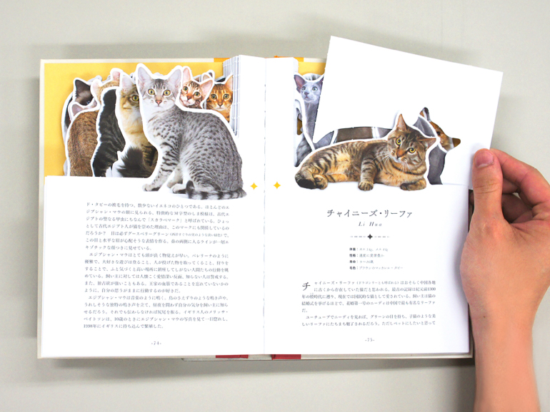 My Picture Book 世界のねこ｜青幻舎 SEIGENSHA Art Publishing, Inc.