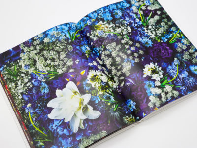 Encyclopedia of Flowers 植物図鑑V｜青幻舎 SEIGENSHA Art